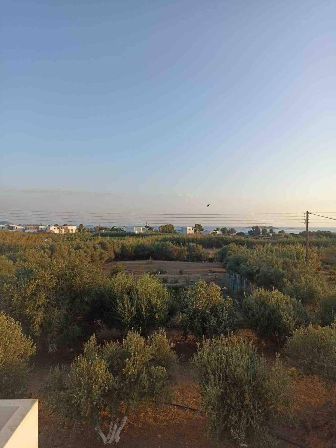 Apartament Eleonas I *